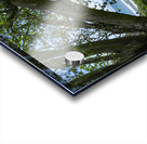 Beach Lawn Acrylic print