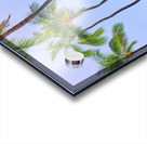 Hawaii Surf Acrylic print