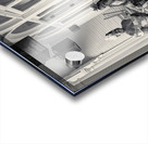 Hawaii Gals Acrylic print