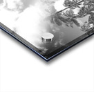 Hawaii Palms BW Acrylic print