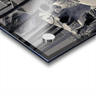 Hawaii Surf Grils BW Acrylic print