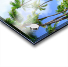 Hawaii Palms Beach Acrylic print