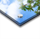 Hawaii Palms Acrylic print