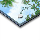 Hawaii Palms Duke Statue Acrylic print