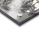 Hawaii Waikiki Acrylic print