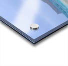 Hawaii Sand Beach 2 Acrylic print