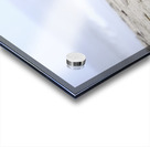 Beach Wood Acrylic print