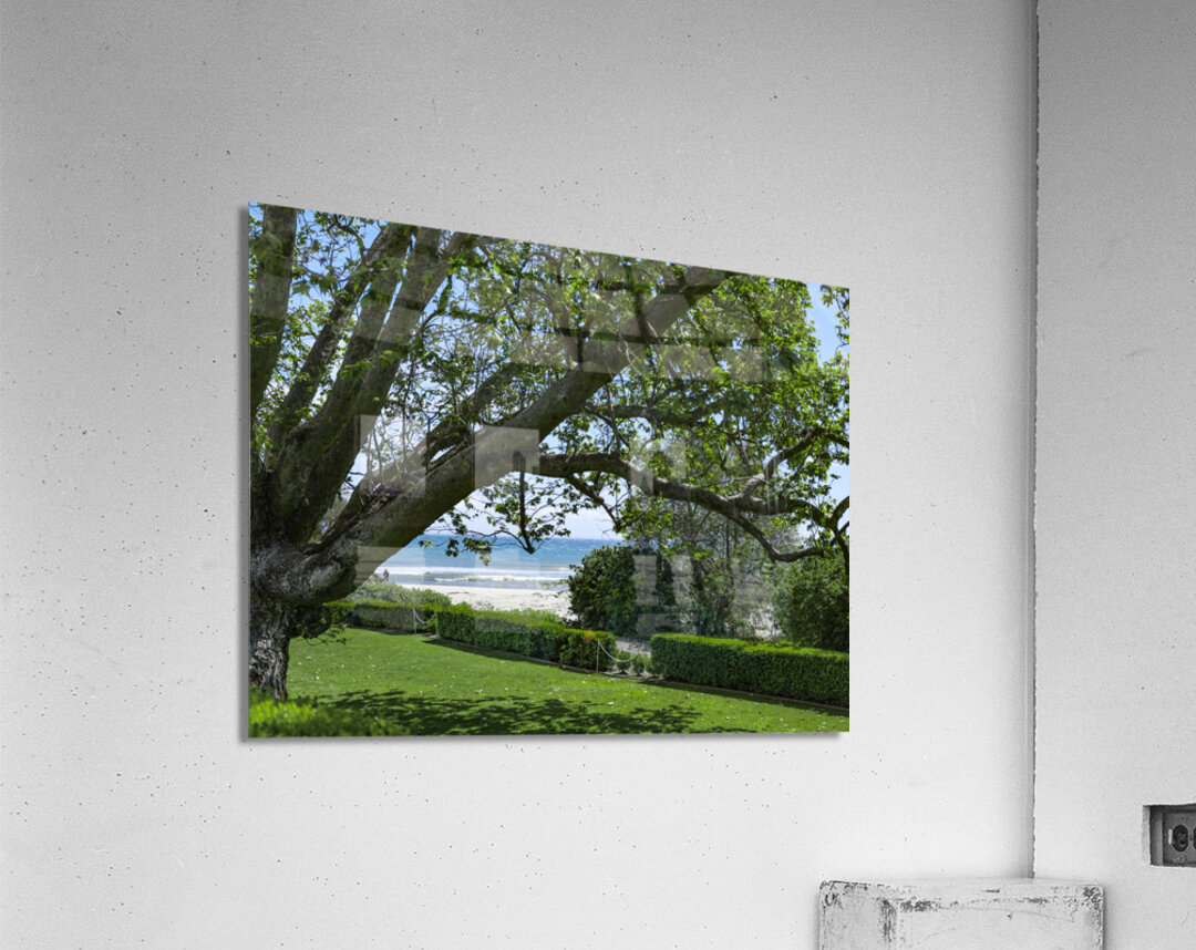 Beach Lawn Acrylic Print