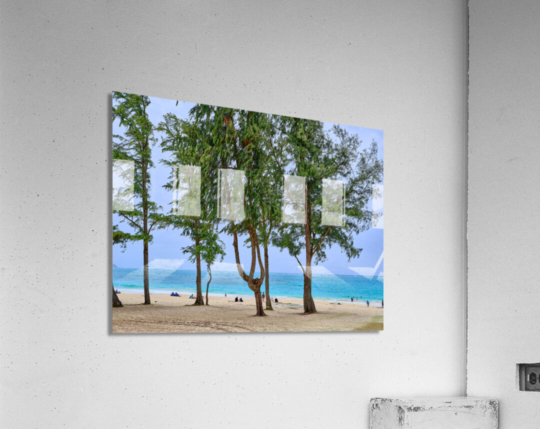 Hawaii Trees 2 Acrylic Print