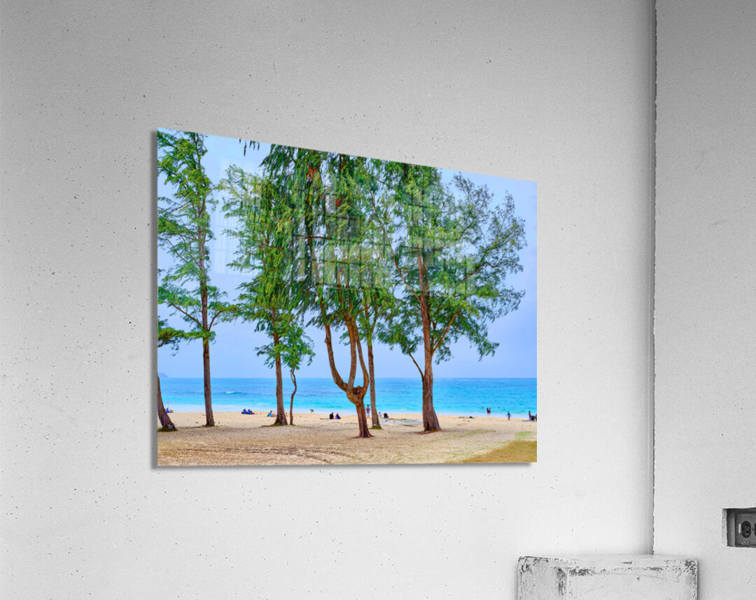 Hawaii Trees Acrylic Print