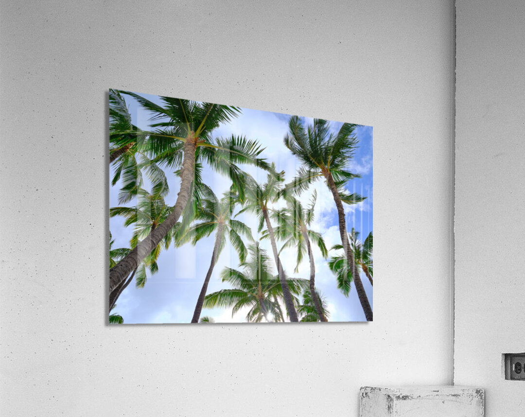 Hawaii Palms Sky Acrylic Print