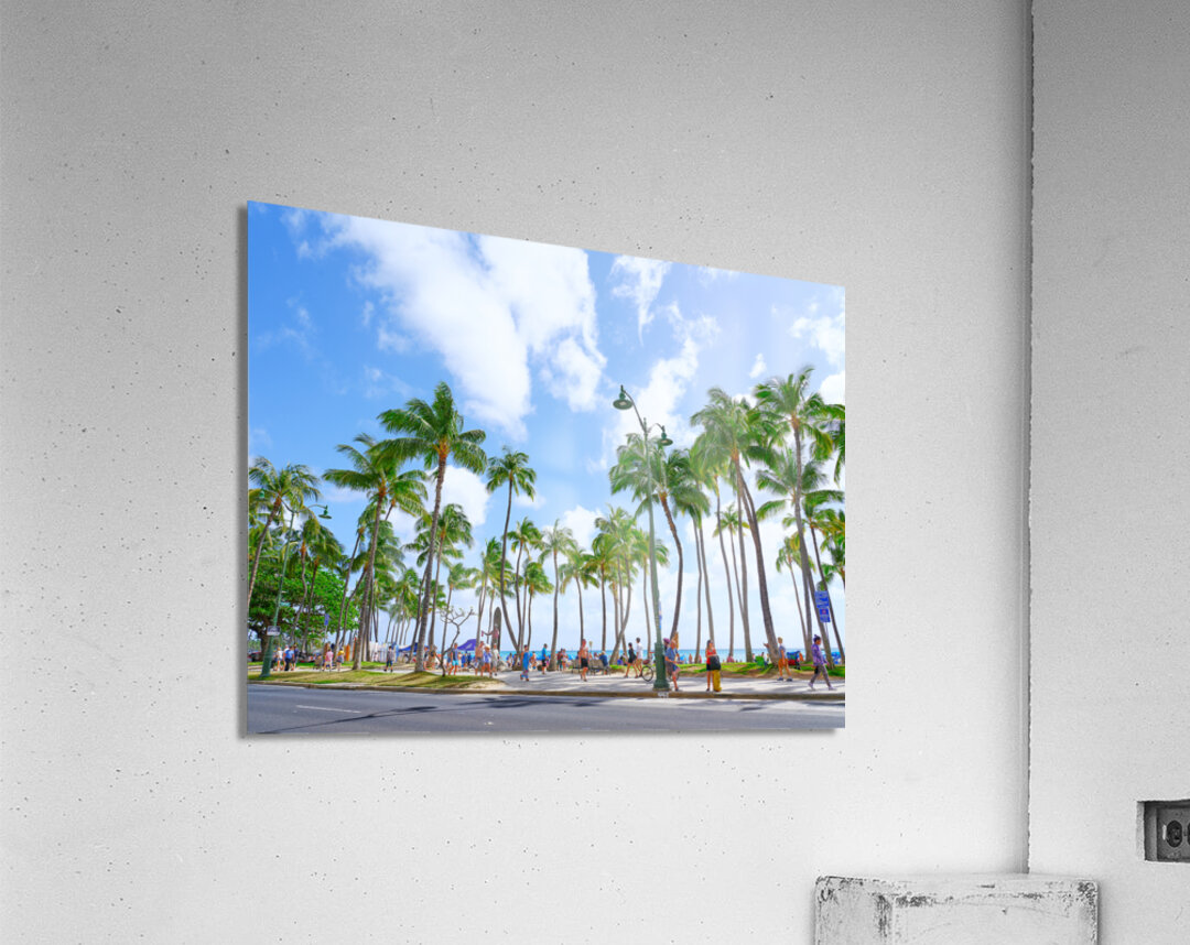 Hawaii Palms Acrylic Print