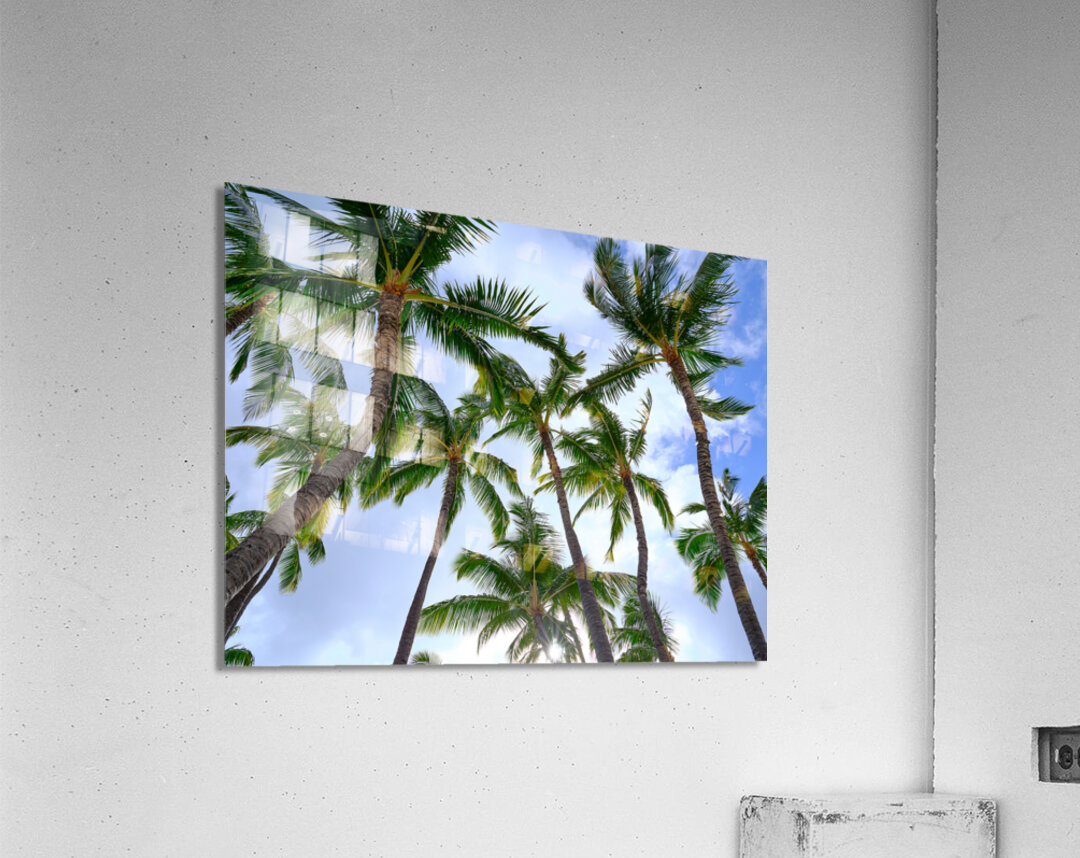 Hawaii Palms Sky Acrylic Print