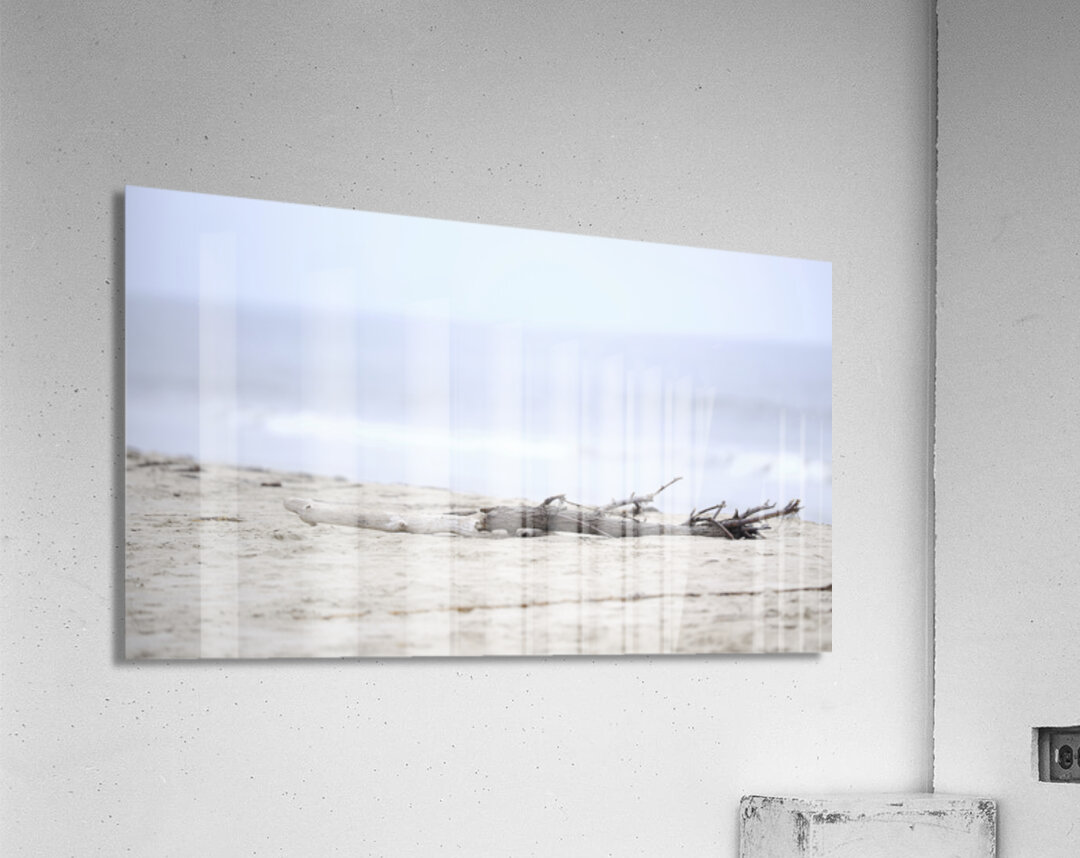 Beach Wood Acrylic Print