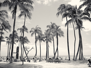 Hawaii Palms BW II