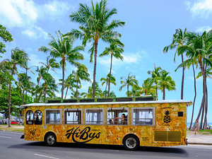 Hawaii Trolly 2