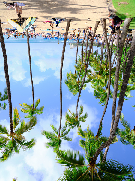 Hawaii Palms Beach Print