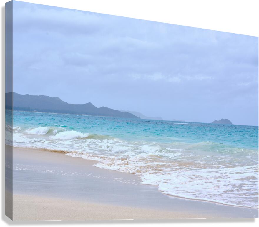 Hawaii Sand Beach Canvas Print