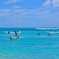 Hawaii Blue Water III