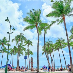 Hawaii Palms Duke Statue