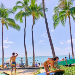 Hawaii Surf