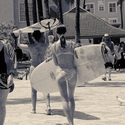 Hawaii Surf Grils BW