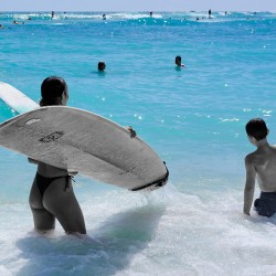 Hawaii Surfing