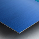 Hawaii Girls Metal print