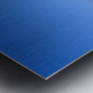 Hawaii Girls 2 Metal print