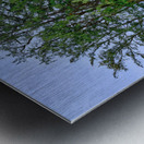 Hawaii Trees 3 Metal print