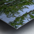 Hawaii Trees 2 Metal print