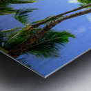 Hawaii Palms Beach 2 Metal print