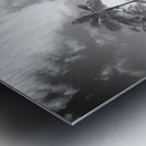 Hawaii Palms BW Metal print