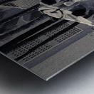 Hawaii Surf Grils BW Metal print