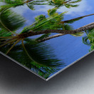Hawaii Palms Beach Metal print