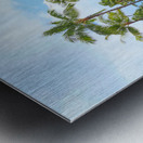 Hawaii Trolley Metal print