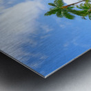 Hawaii Palms Metal print