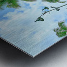 Hawaii Palms Duke Statue Metal print