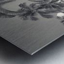 Hawaii Waikiki Metal print