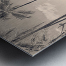 Hawaii Surfing III Metal print