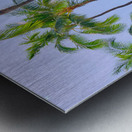 Hawaii Surf Metal print