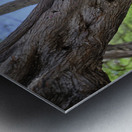 Hawaii Cardinal III Metal print