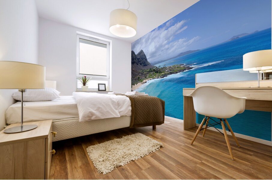 Hawaii Beach Mural print