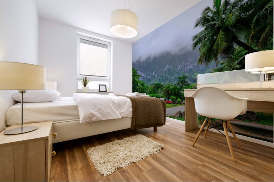 Hawaii Fog 2 Mural print