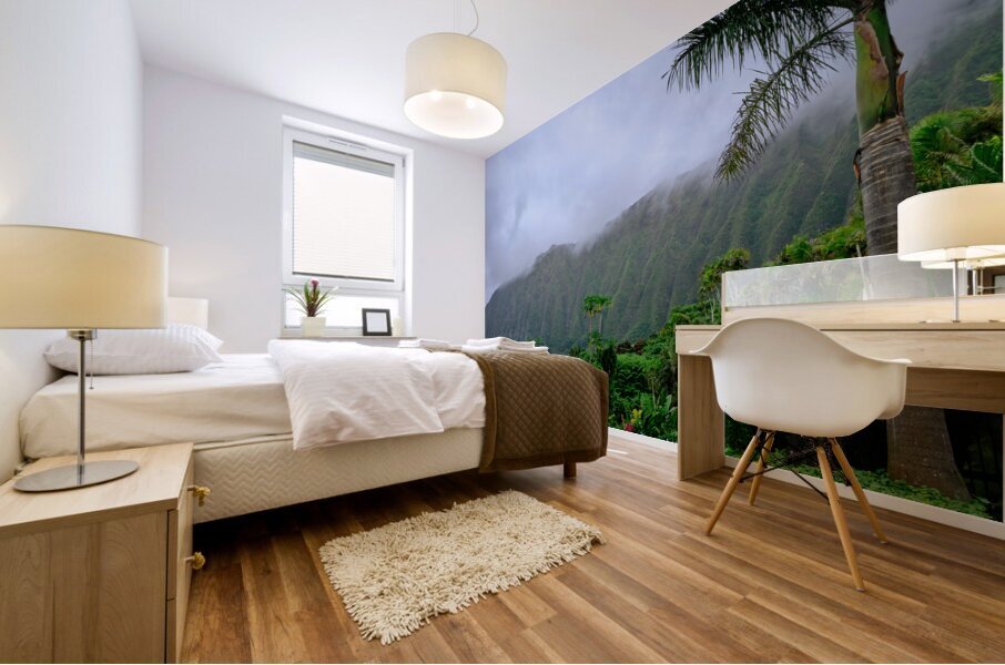 Hawaii Fog 3 Mural print