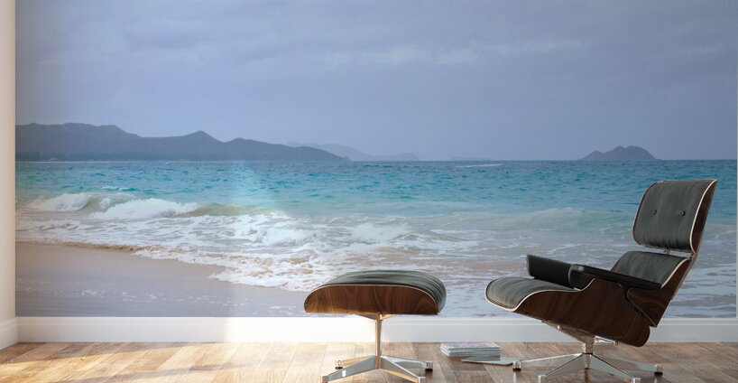 Hawaii Sand Beach Wall Murals