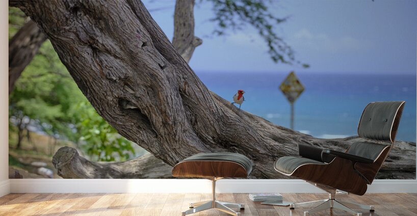 Hawaii Cardinal IV Wall Murals
