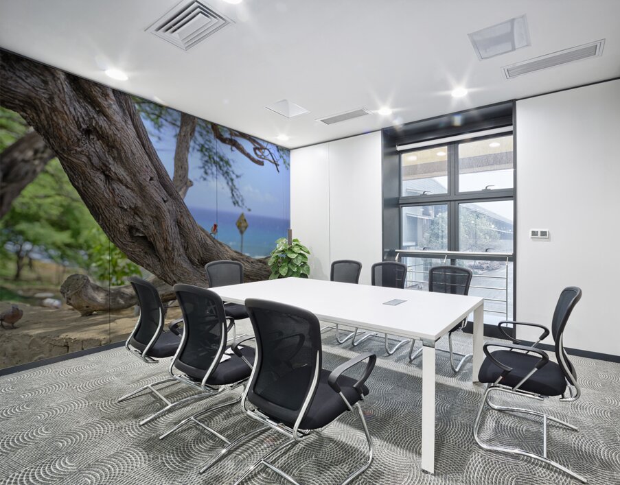 Hawaii Cardinal IV Wall Printing