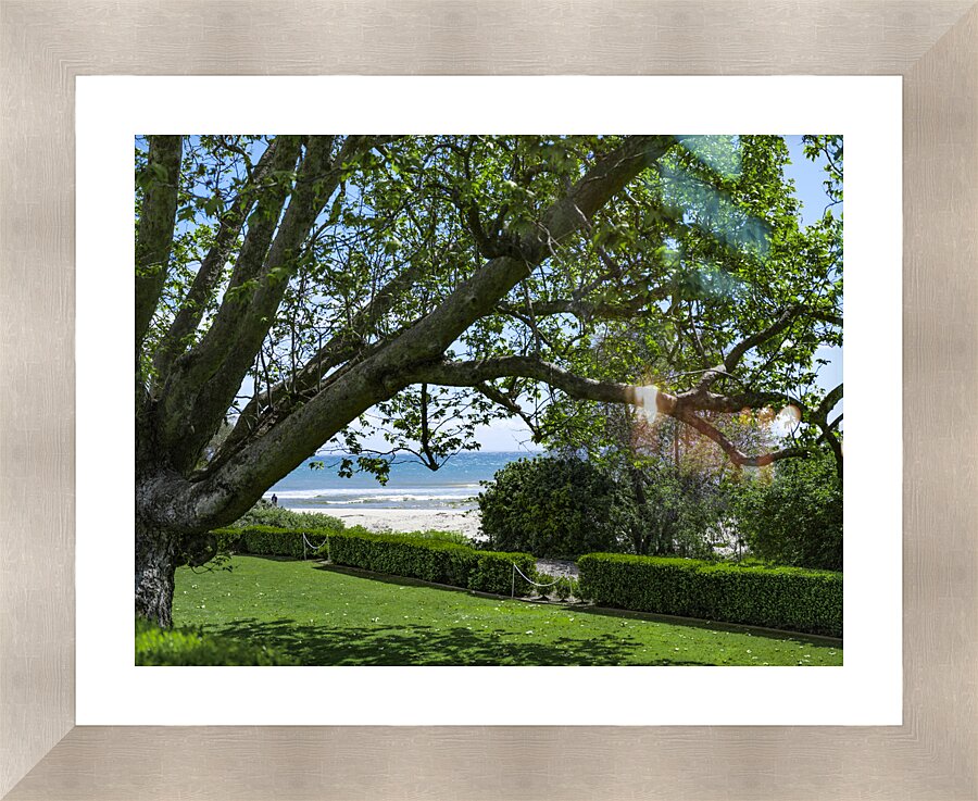 Beach Lawn Picture Frame print