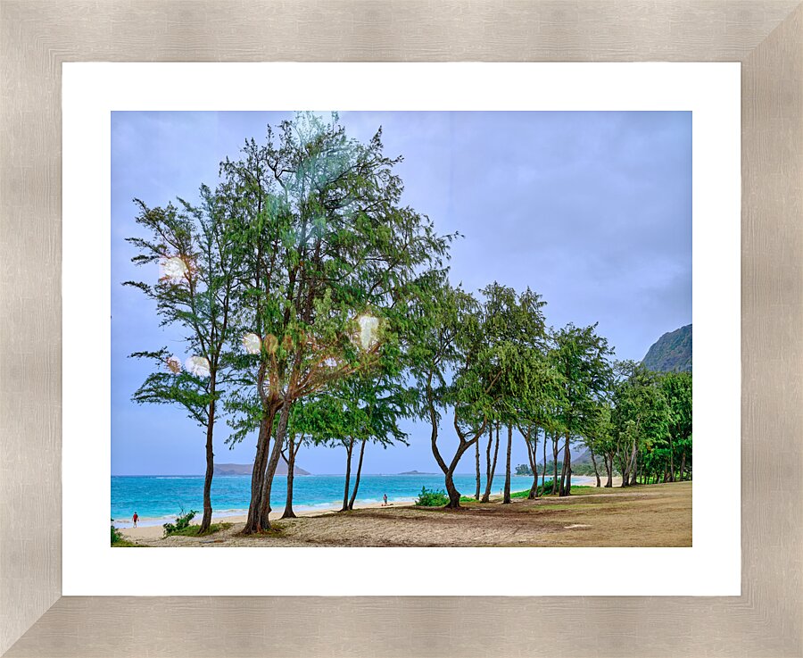 Hawaii Trees 3 Picture Frame print